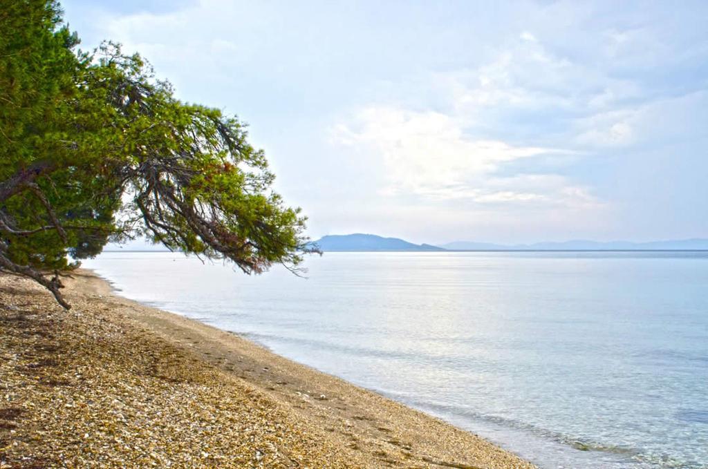 Elia Apartments Sithonia Luaran gambar