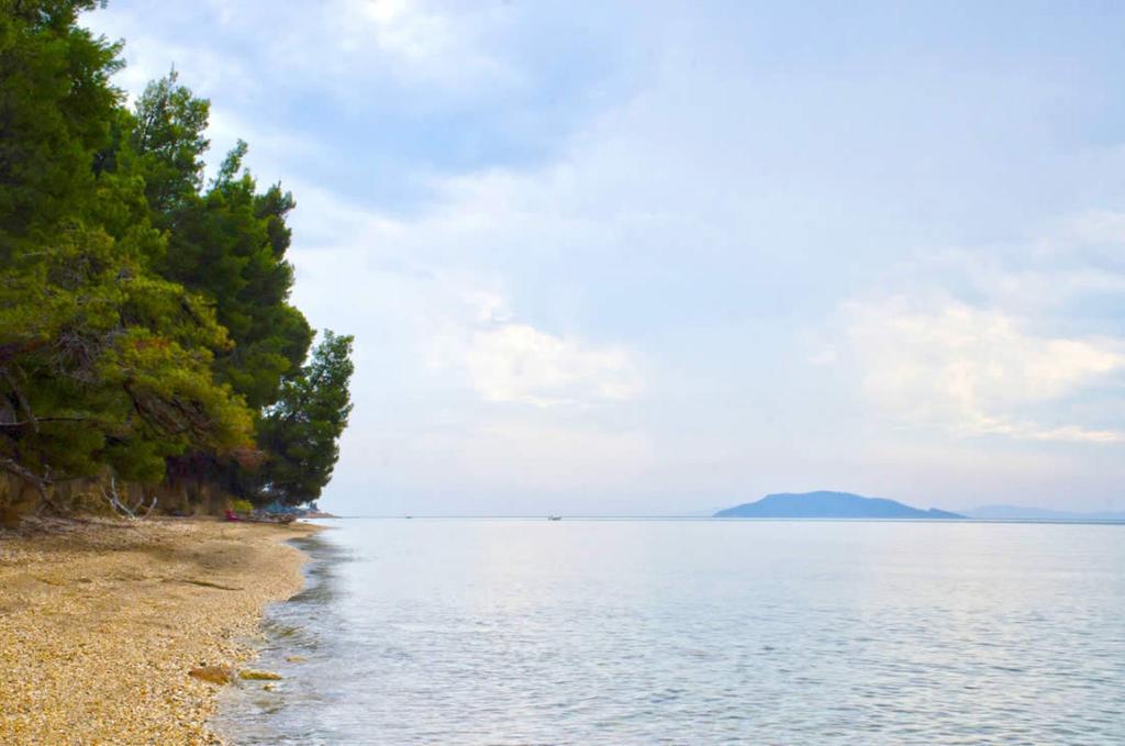 Elia Apartments Sithonia Luaran gambar